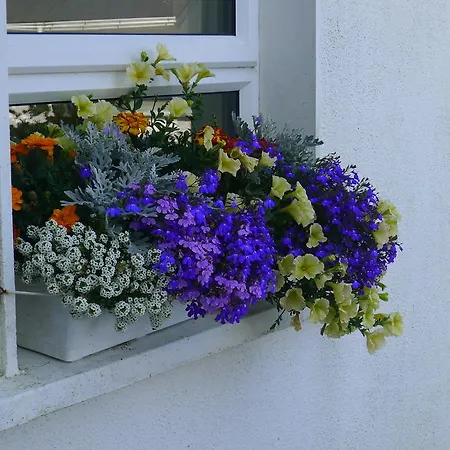 Quay House * COUNTY WEXFORD